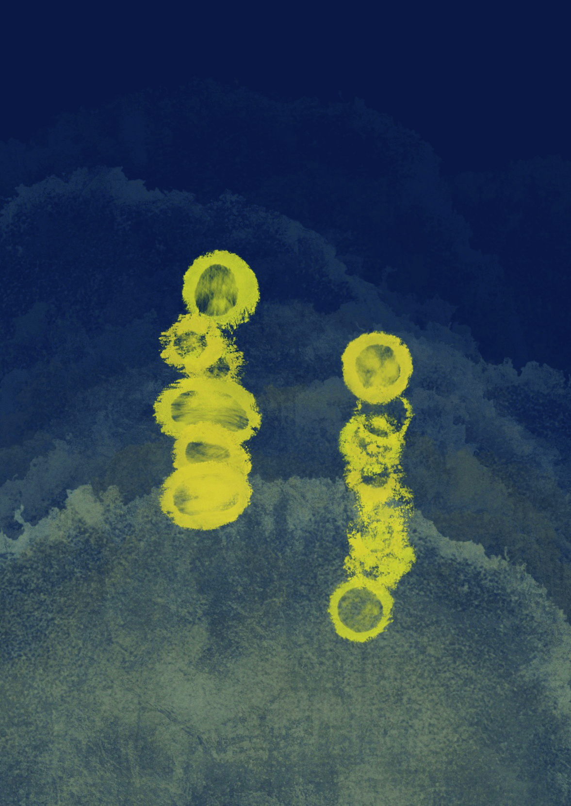 진옥스님 설법집_행복수행론-8.jpg